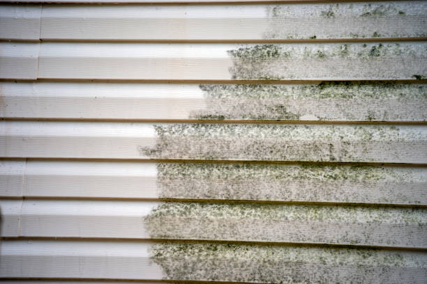 Best Insulated Siding Installation  in Veazie, ME