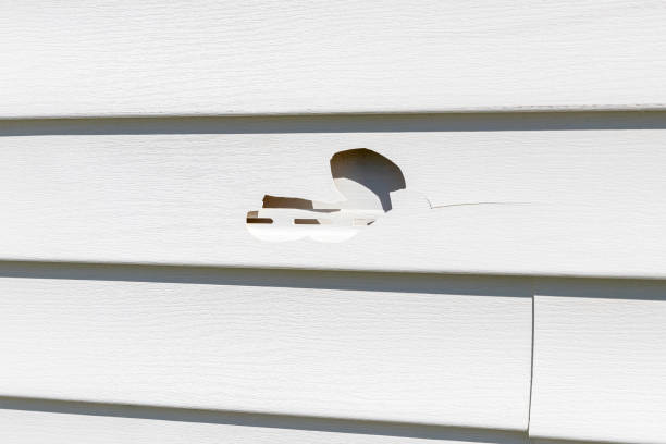 Best Siding for New Construction  in Veazie, ME